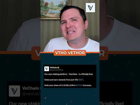 Alpha Alert: VeChain Launches Stargate